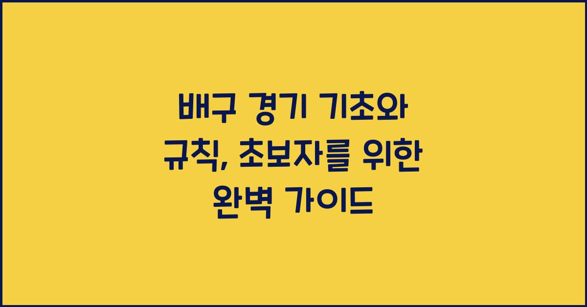 배구 경기 기초와 규칙