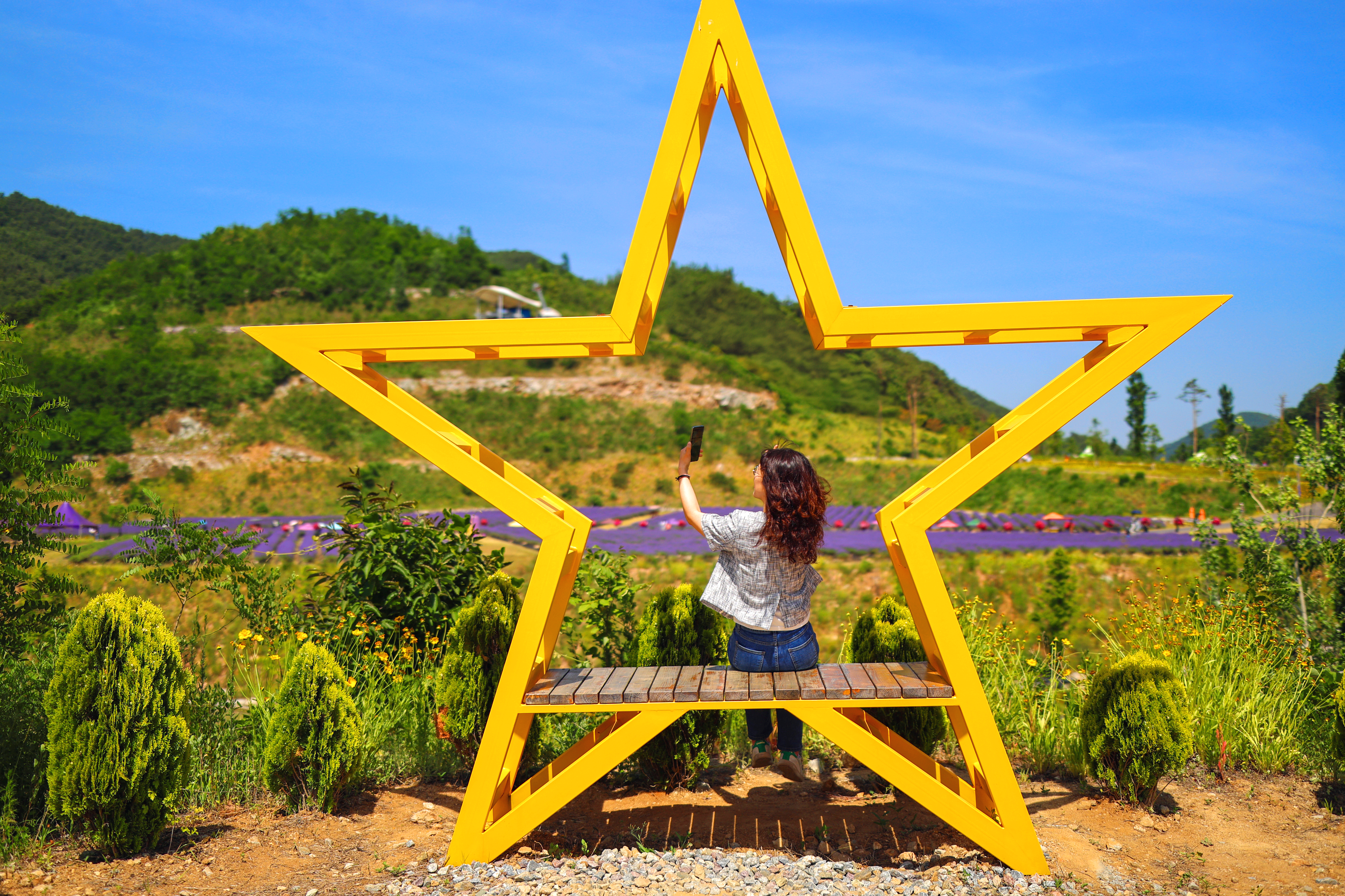무릉별유천지 라벤더 축제