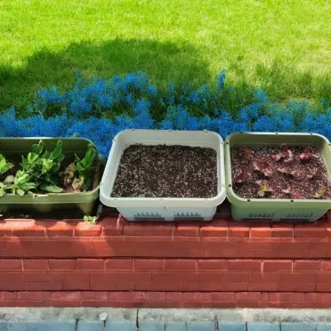 베란다 텃밭 흙 고르기 배수층 화분 선택 물주기 비료주기_16