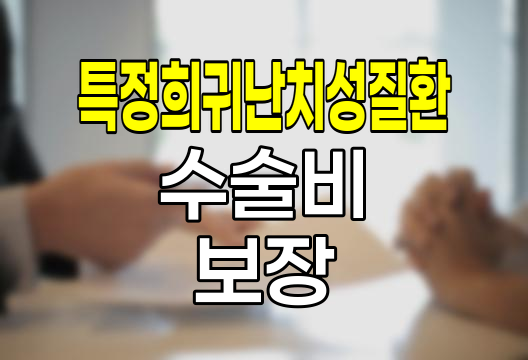 메리츠화재 특정희귀난치성질환수술비 보장 심층 분석