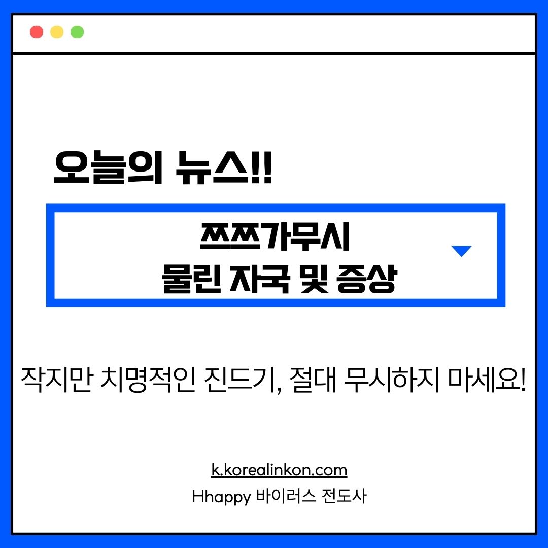 쯔쯔가무시 물린 자국 및 증상 작지만 치명적인 진드기, 절대 무시하지 마세요!