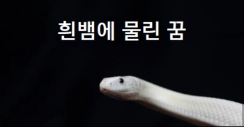 흰뱀에 물린 꿈