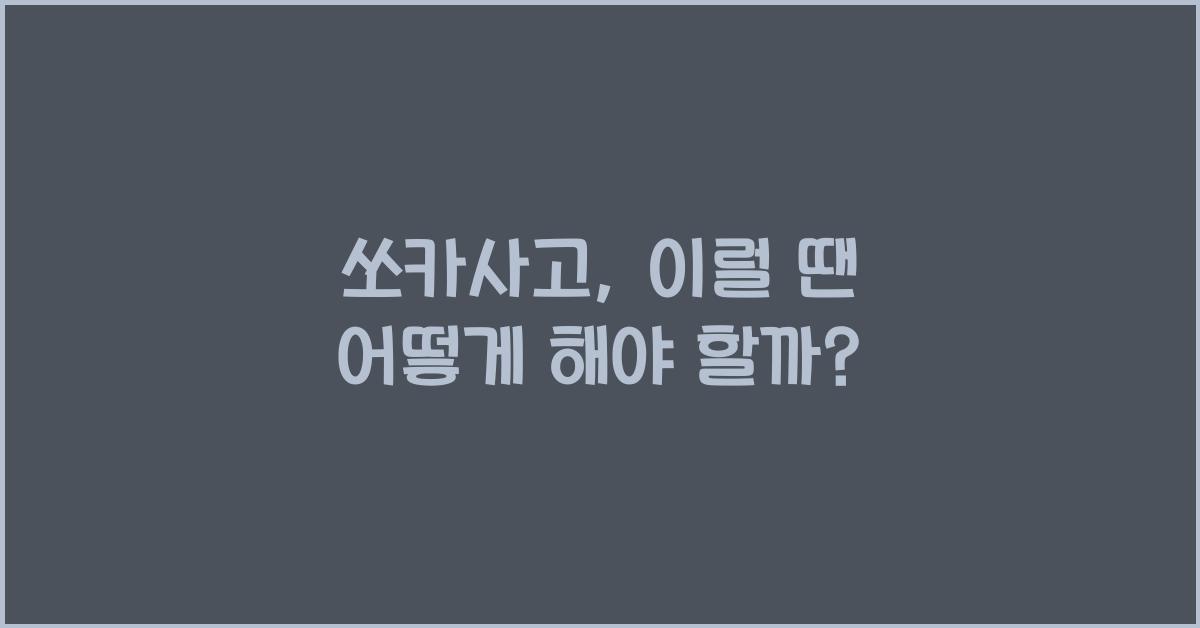 쏘카사고