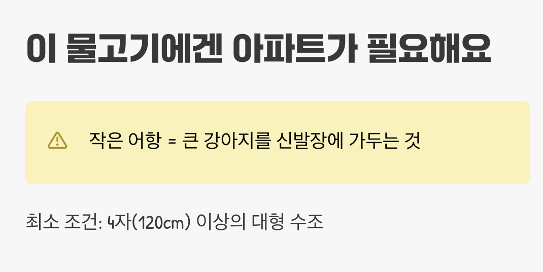 이 물고기에겐 아파트가 필요해요