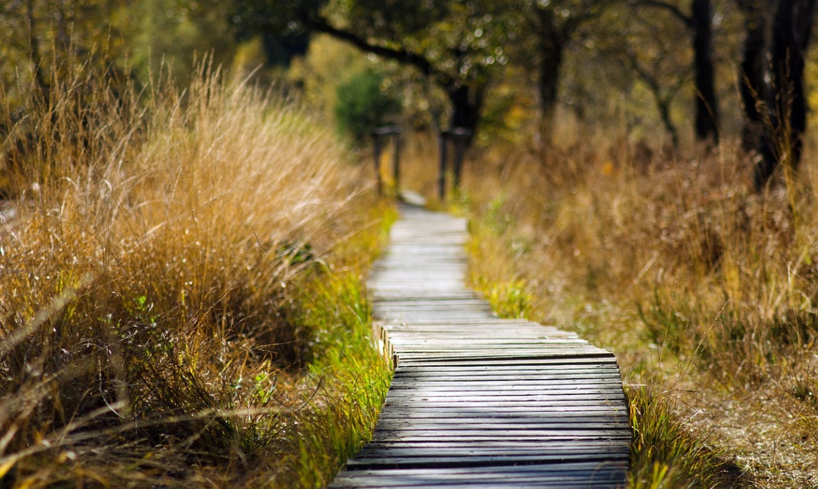 안산자락길 산책로