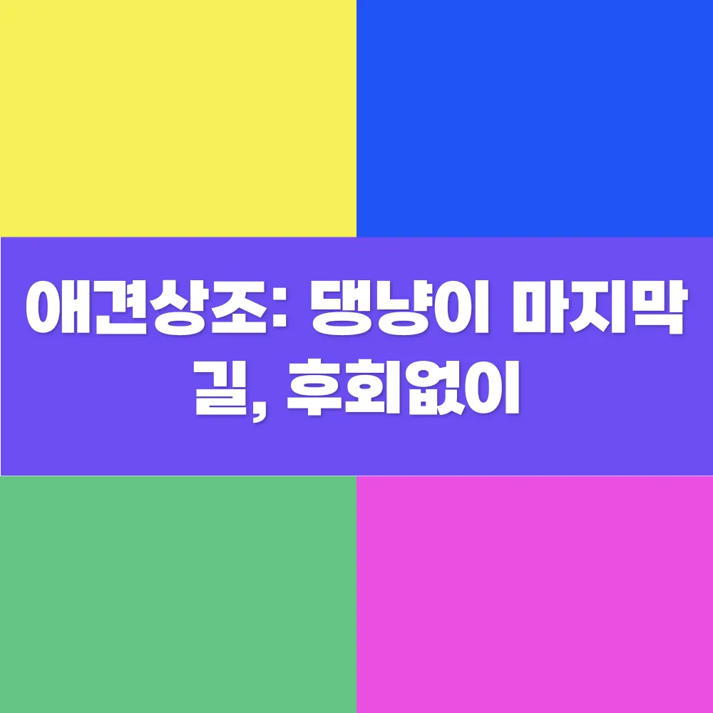 썸네일 이미지