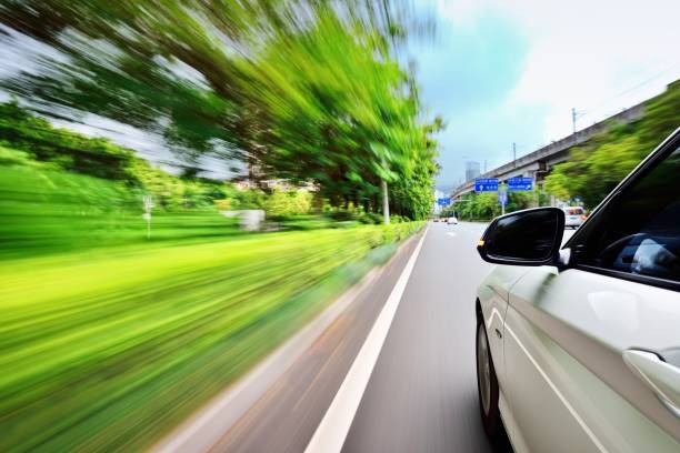 815-광복절-특별사면-운전면허