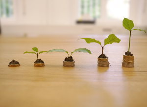 파킹통장 환승기: 연 0.1% 금리 차이에 움직였던 나의 실제 이자 계산 비교