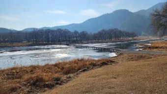 영월 섶다리마을의 강가 시간 여행 산책길 경험기_8