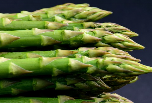 아스파라거스 영양소