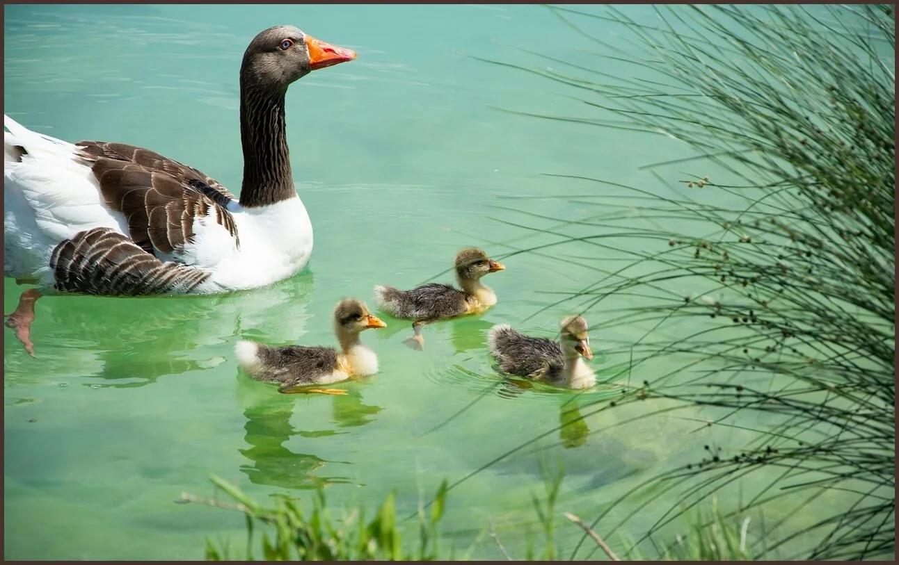 농협은행 정기예금 금리