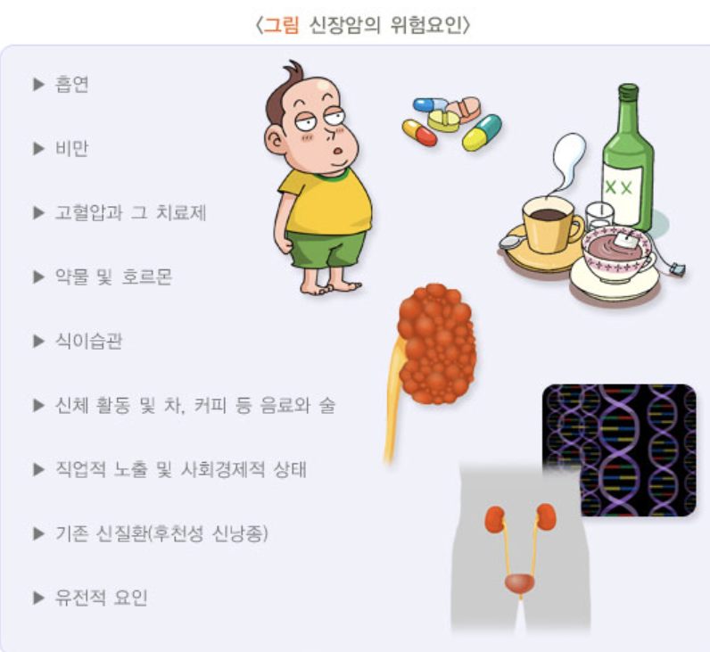 신장암 초기증상 2