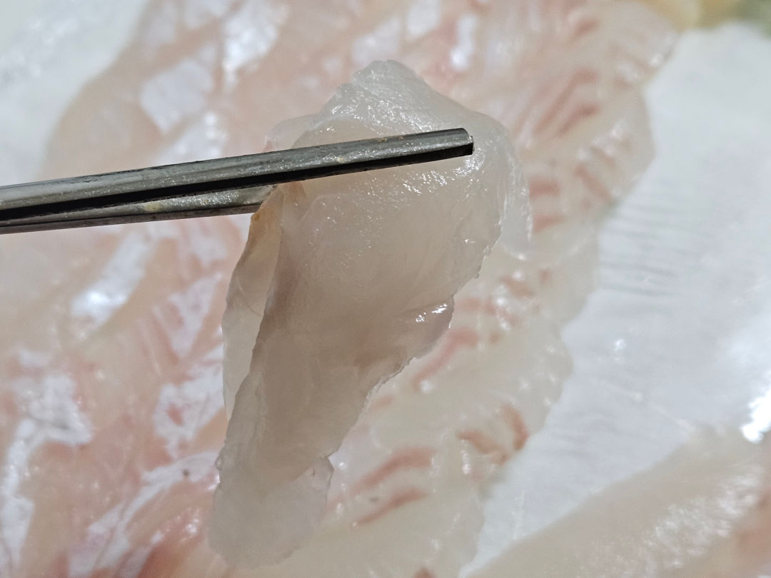 대영 수산 광어