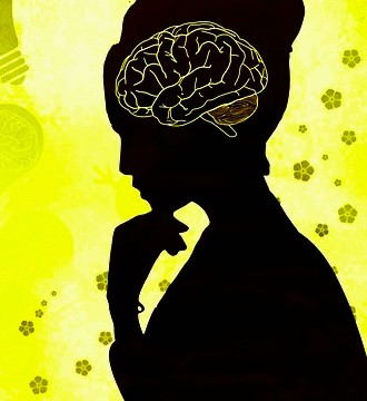두뇌-그림