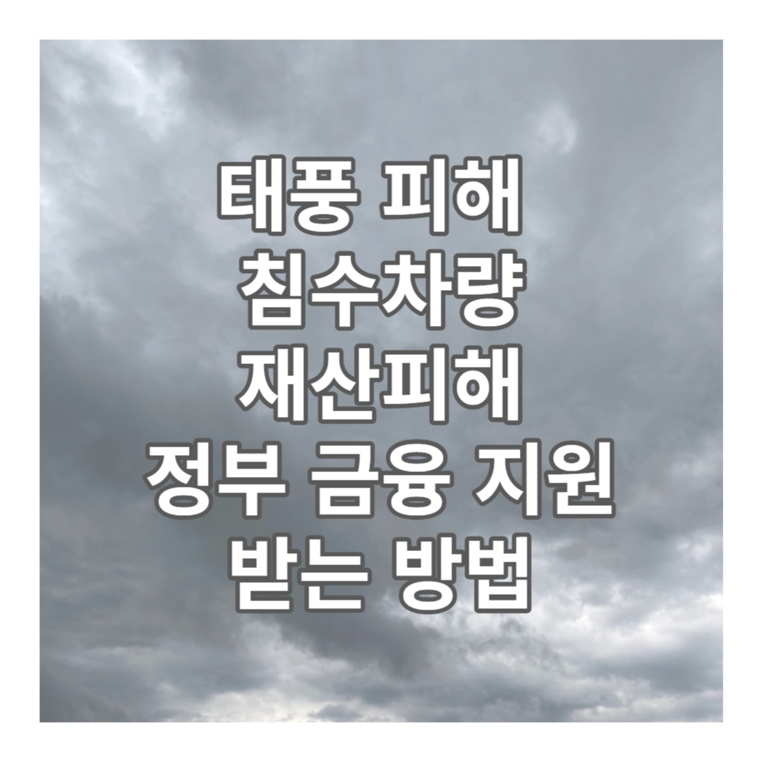 태풍 피해 침수차량, 재산피해 정부 금융 지원 받는 방법