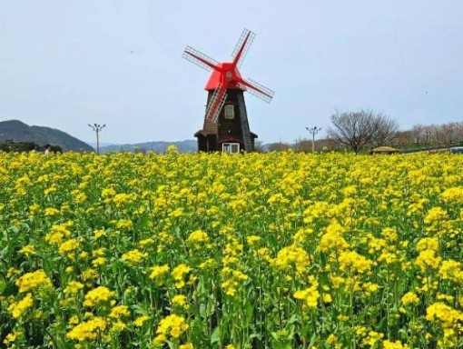 경남 여행지 추천 ❘ 창녕 가볼만한 곳 베스트 10. 남지체육공원