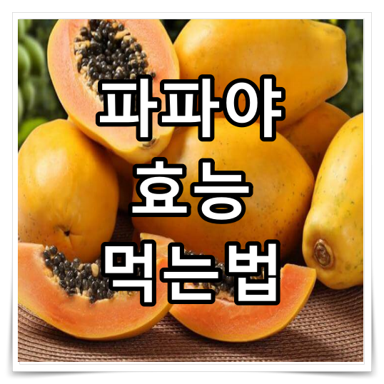 파파야 효능 먹는법
