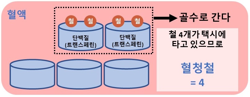 혈청철