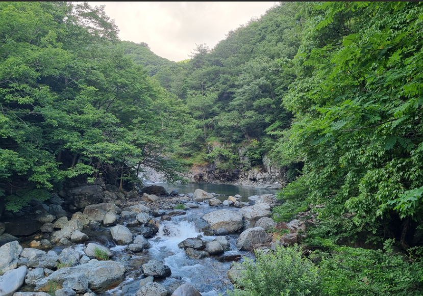 철구소 계곡1