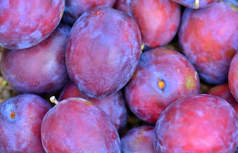 갱년기에 좋은 음식 -자두