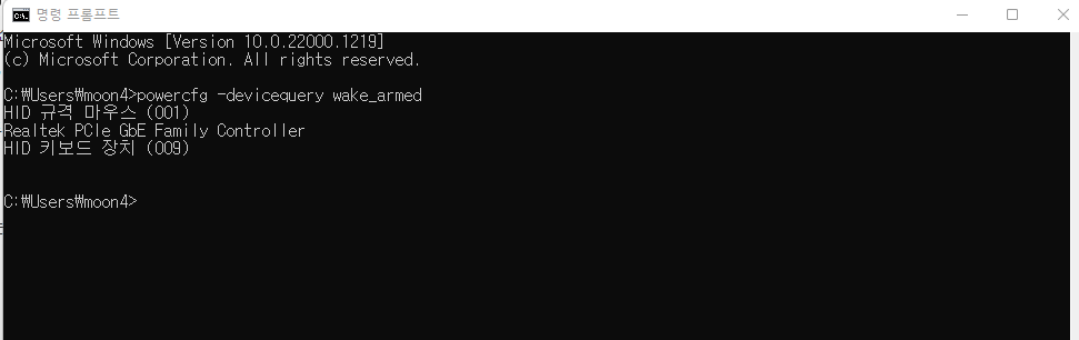 윈도우11명령프롬프트