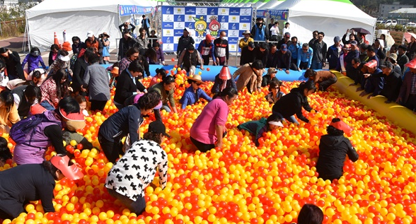 2025 고흥유자축제2