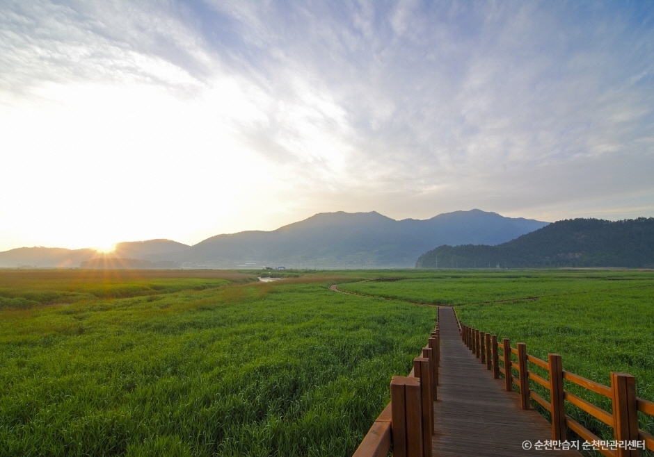 순천 가볼만한곳 베스트10