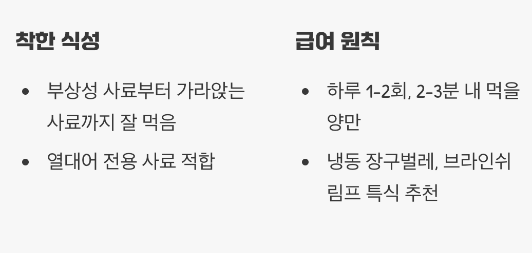먹이 - '가리지 않는' 착한 식성