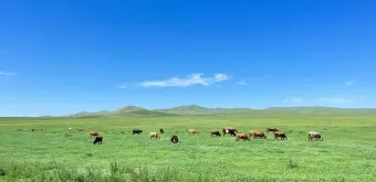 몽골 여행 날씨 필수 준비물_16