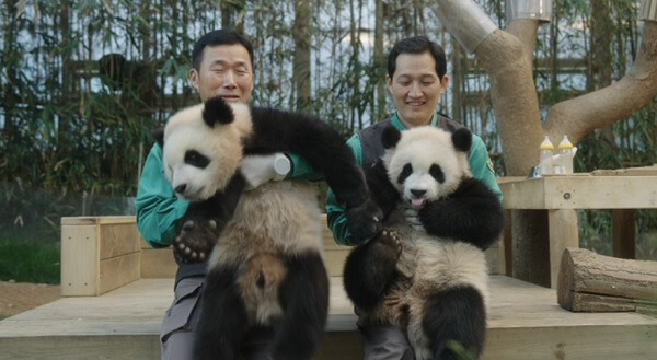 안녕할부지예매