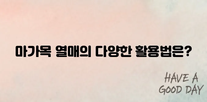 마가목 열매를 즐기는 방법 안내