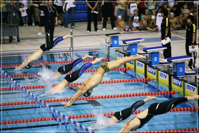 전국-수영대회-2025
