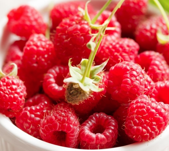 산딸기의 건강 효능과 자산관리로서의 자연 자원 가치