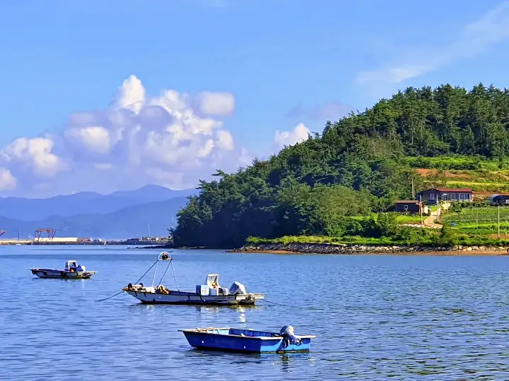 전남 완도 신지도 선상 낚시 체험 슉벅 팬션 민박 비파잎차 비파와인 맛집 가볼만한 곳 추천