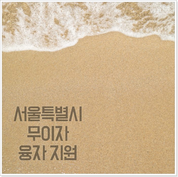 서울특별시-무이자-융자-지원