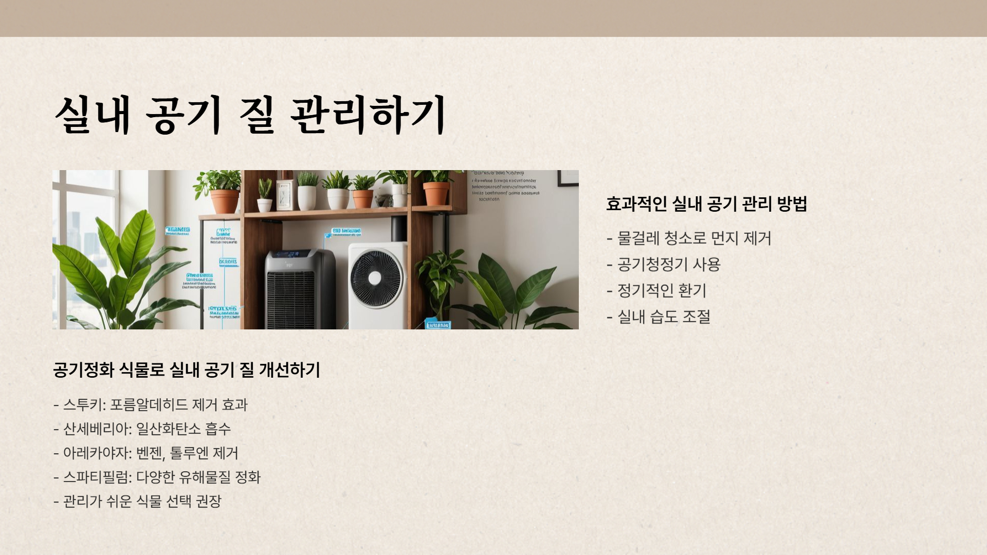 미세먼지와 황사 피해를 줄이는 10가지 방법