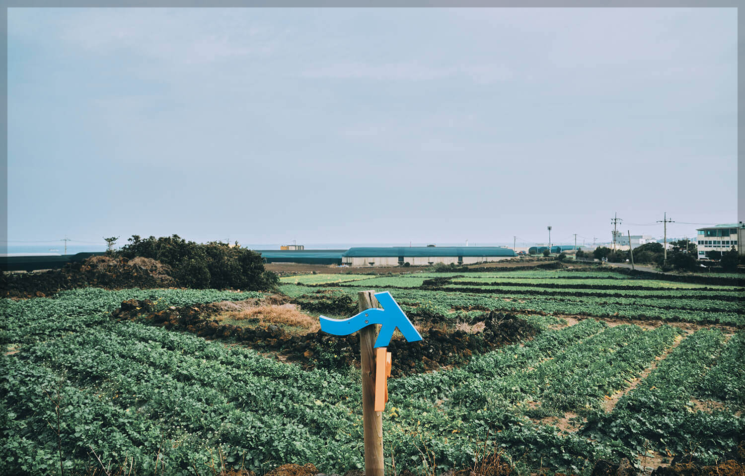 제주 올레길 20코스 지도 맛집 숙소: 북동부 바다의 매력 속으로