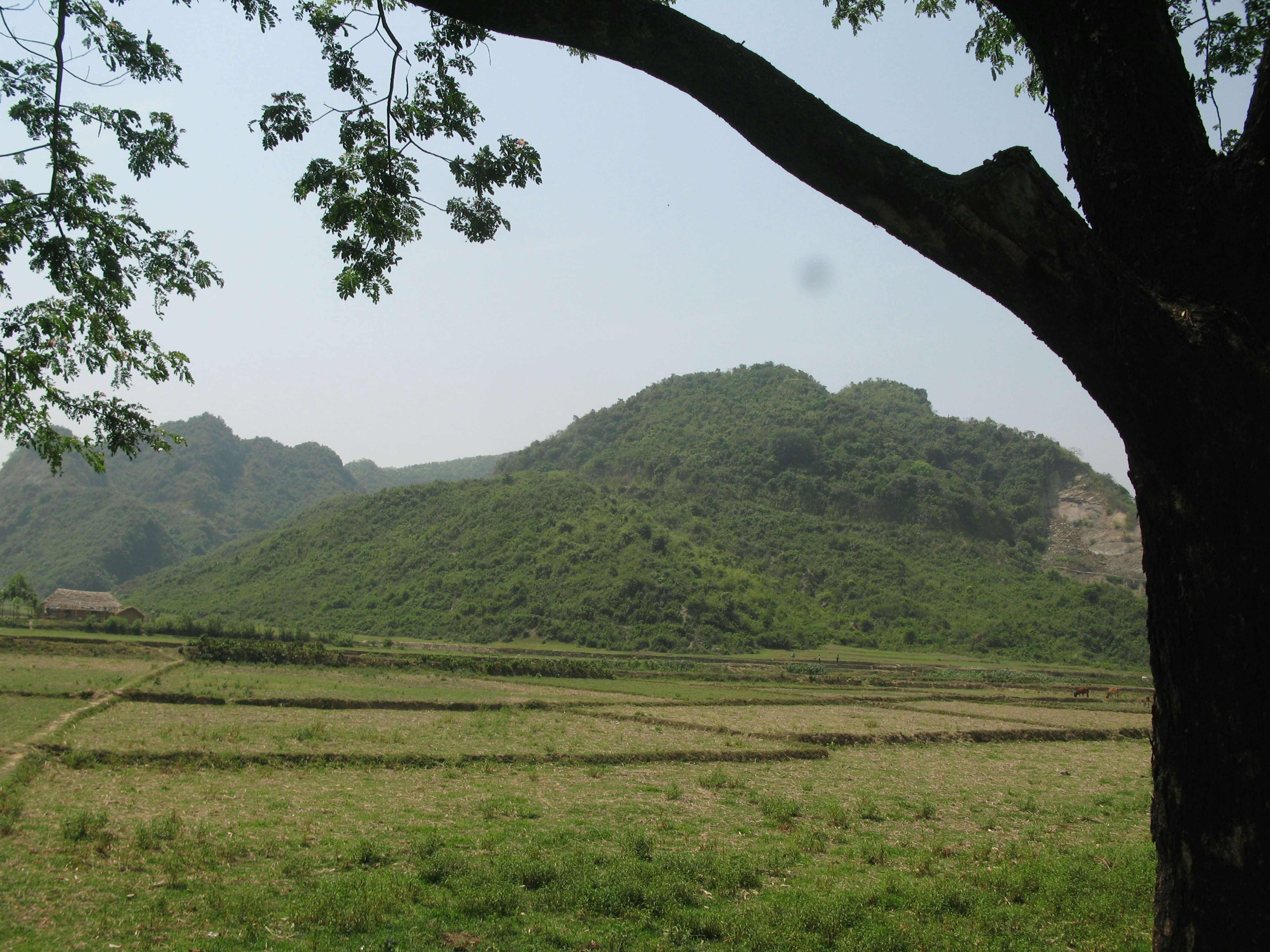 창녕-화왕산- 억새 명소 - 10월 -가을 여행 -1
