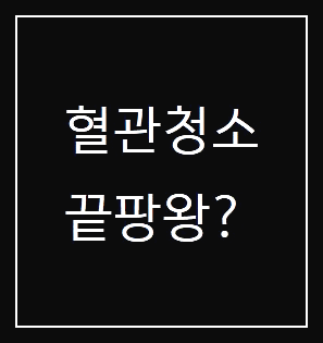 혈관청소 끝판왕