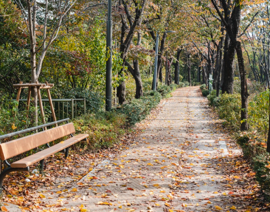 우이천변 제방 한천로