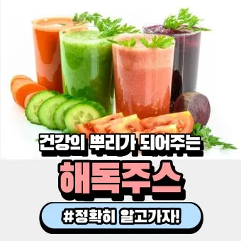 해독주스 레시피 효과 부작용_41
