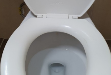 본인이 똥을 누는꿈해몽,배설의 의미