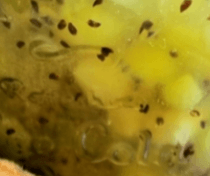 키위 껍질 먹는 방법