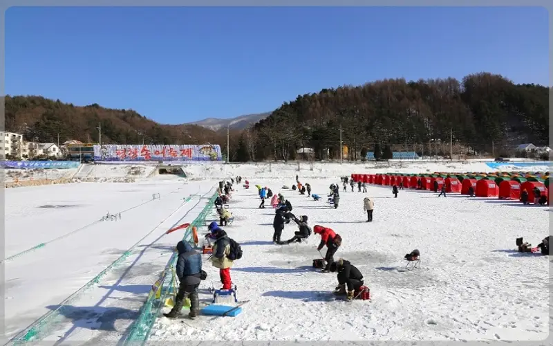 평창 송어축제_1