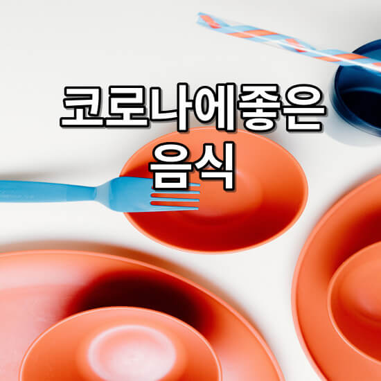 코로나에좋은음식