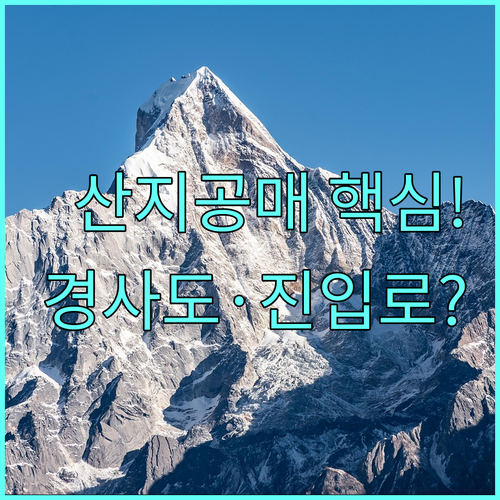 초보자를 위한 산지 공매 법적 규제 ..