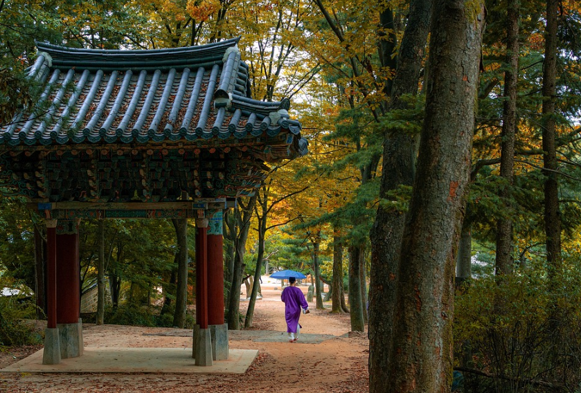 지역 문화를 배우는 전통마을 여행지
