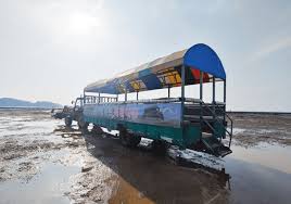 ์ค์ด๋ ๊ฐฏ๋ฒ์ฒดํ