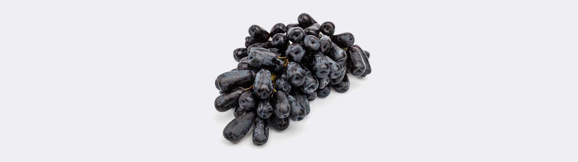 생방송오늘저녁 경북 성주 샤인머스캣 블랙사파이어 그라비올라 전국 택배 온라인 전화 주문 추천