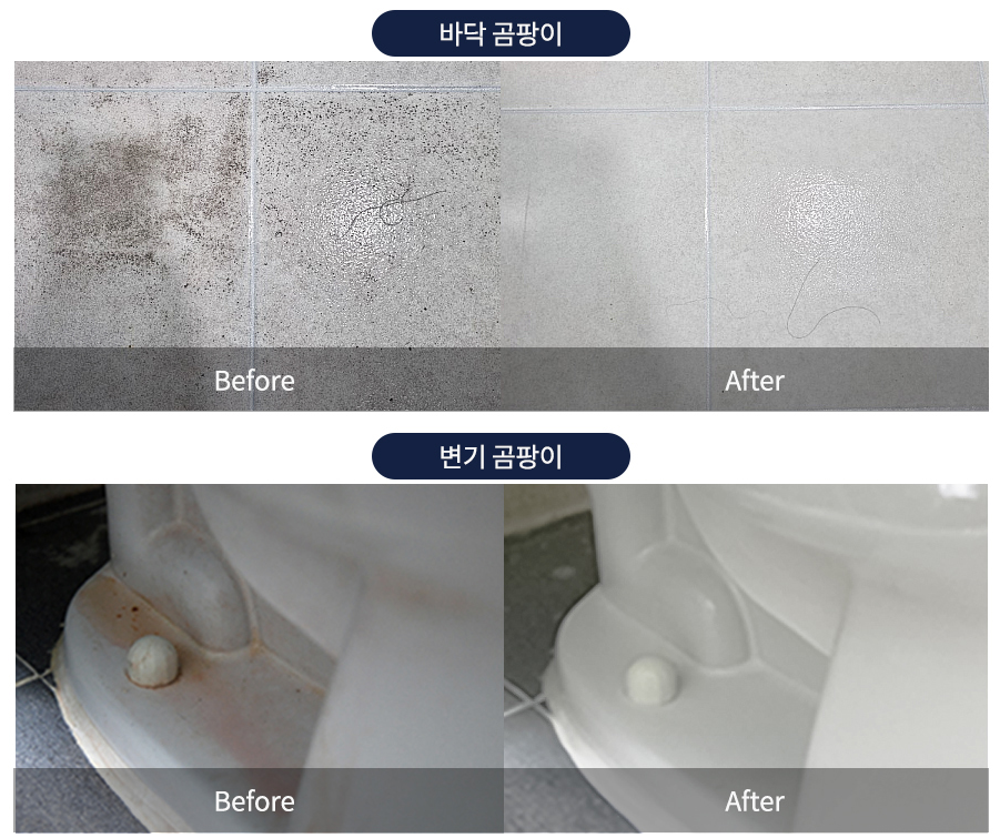 곰팡이제거제8